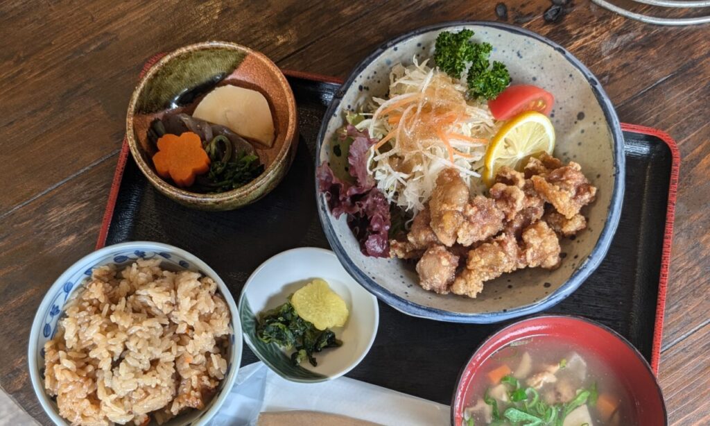 【中津市】しっかりとした歯ごたえと旨みが味わえる『とろろ乃湯』のお食事処で食べる地鶏料理。