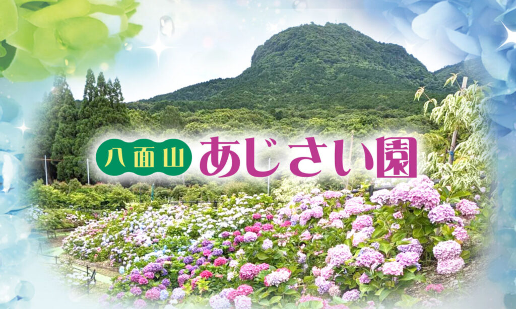 【中津市】八面山あじさい園が6月7日よりオープンします!