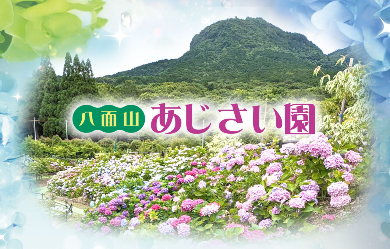 【中津市】八面山あじさい園が6月7日よりオープンします!