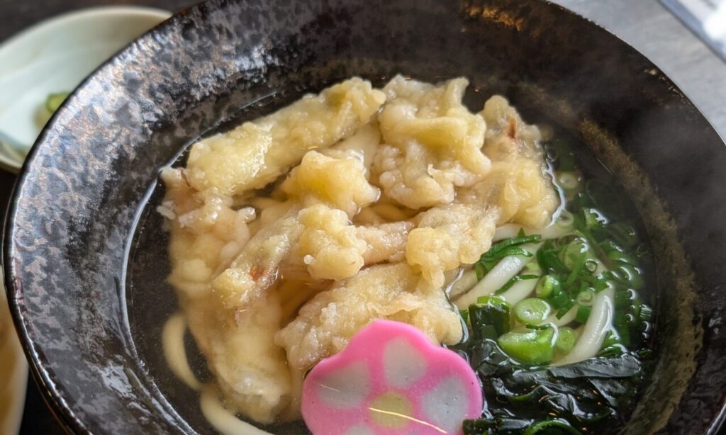 【杵築市】ボリュームたっぷりの「おまかせ定食」に大満足すること間違いなしの『うどん山ちゃん』