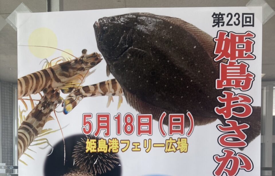 【姫島村】姫島おさかな祭に行って、渡り蝶のアサギマダラも観てきました。