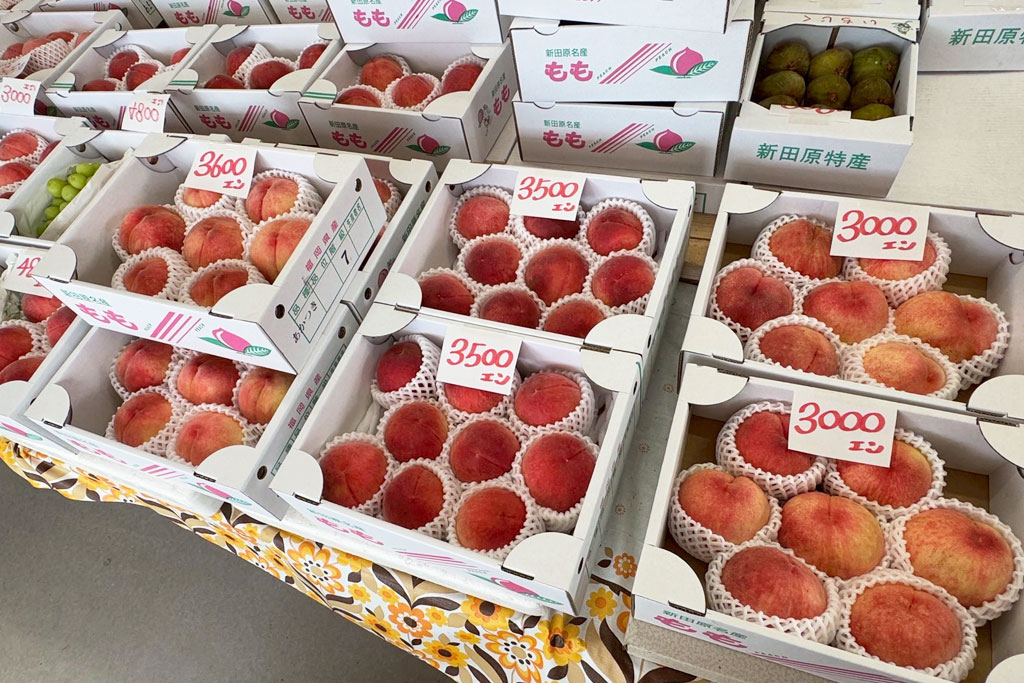 【行橋市】今が旬!『北川果実本店』の「あまとう」で味わうシャキシャキ食感の桃