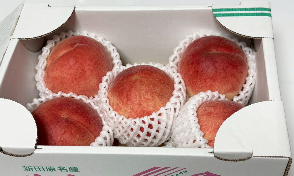 【行橋市】今が旬!『北川果実本店』の「あまとう」で味わうシャキシャキ食感の桃