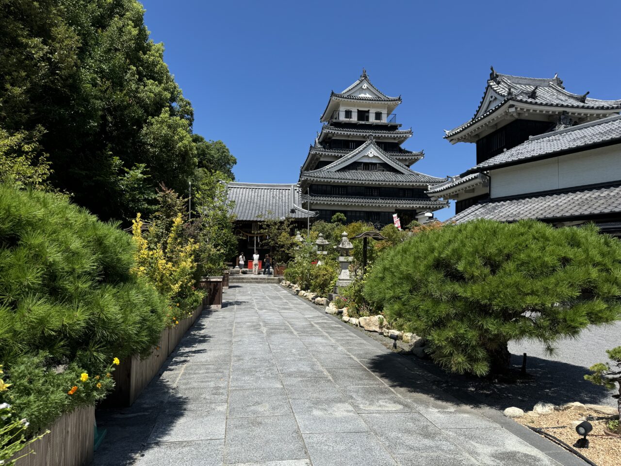 【中津市】『中津城花城』三大水城 × 花絶景!黒田官兵衛ゆかりの地で感動体験!!