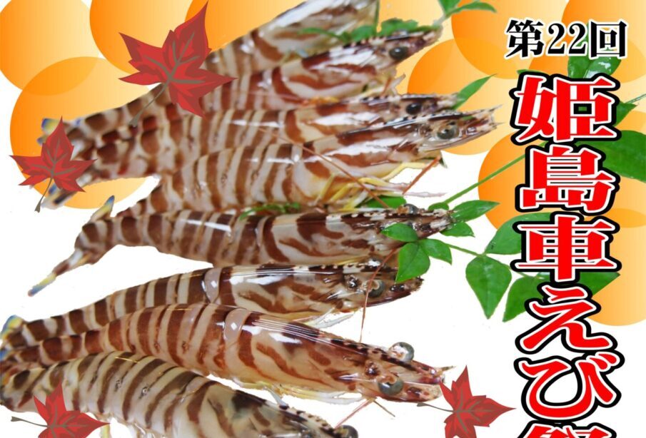 【姫島村】『姫島車えび祭り』が10月19日に開催!秋の味覚を満喫!