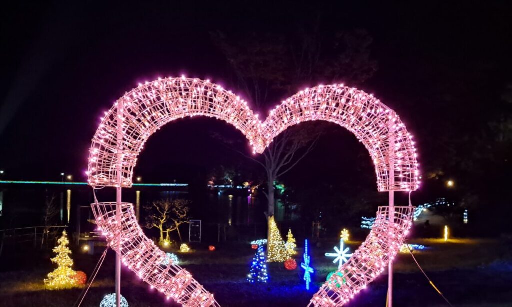 【上毛町】『大池公園イルミネーション』広大な大池を全周!!囲む壮大な光のアート! 全周まわらなくても楽しめます