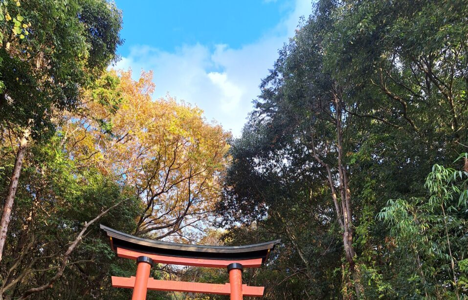 【宇佐市】宇佐神宮の秘境?! 八幡神が神託をさずけた聖地『大尾神社』と神託を守った和気清麻呂を祀る『護皇神社』