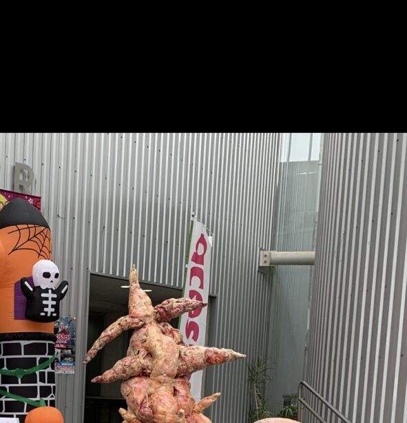 ハベシャス