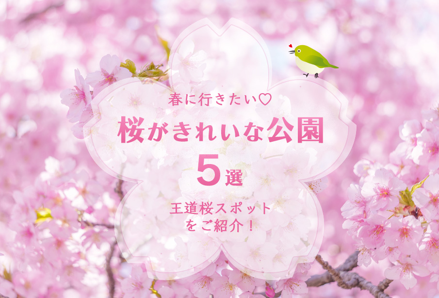 【中津市・宇佐市・豊後高田市・豊前市】桜がきれいな公園5選|お花見スポット