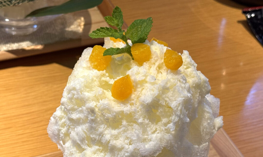 【中津市】ひんやりグルメ!『甘味処 武蔵屋菓寮』のかき氷とわらび餅が絶品!!