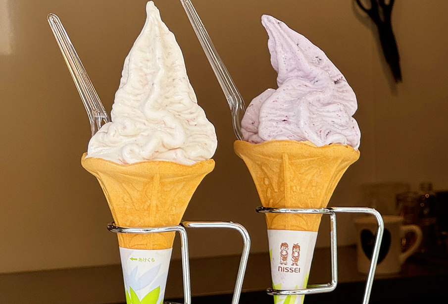 【京都郡】地元の果実で味わうひんやりスイーツ!『なないろテラス』でドライブ休憩