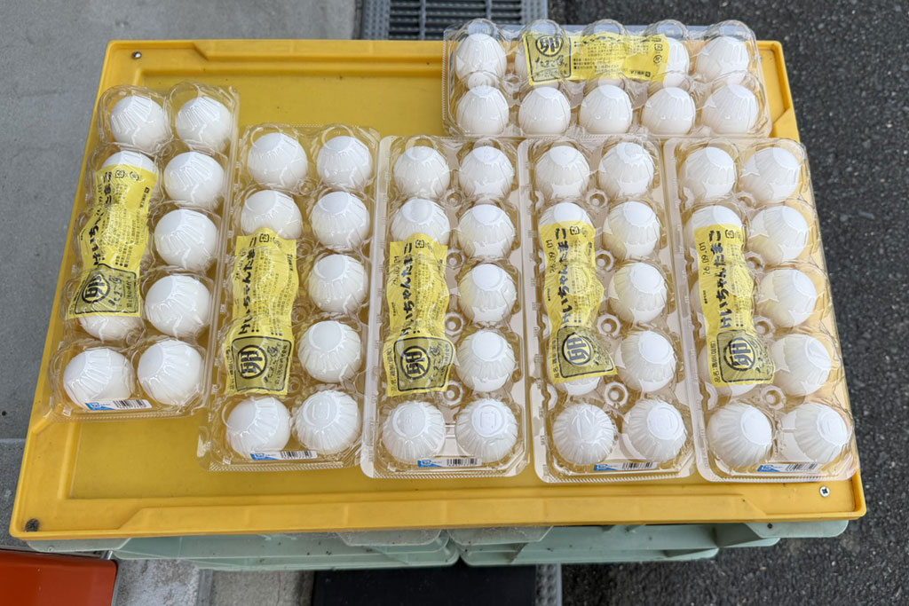 【上毛町】16日(日)まで卵がお得!『築上鶏卵』の24時間買える自販機