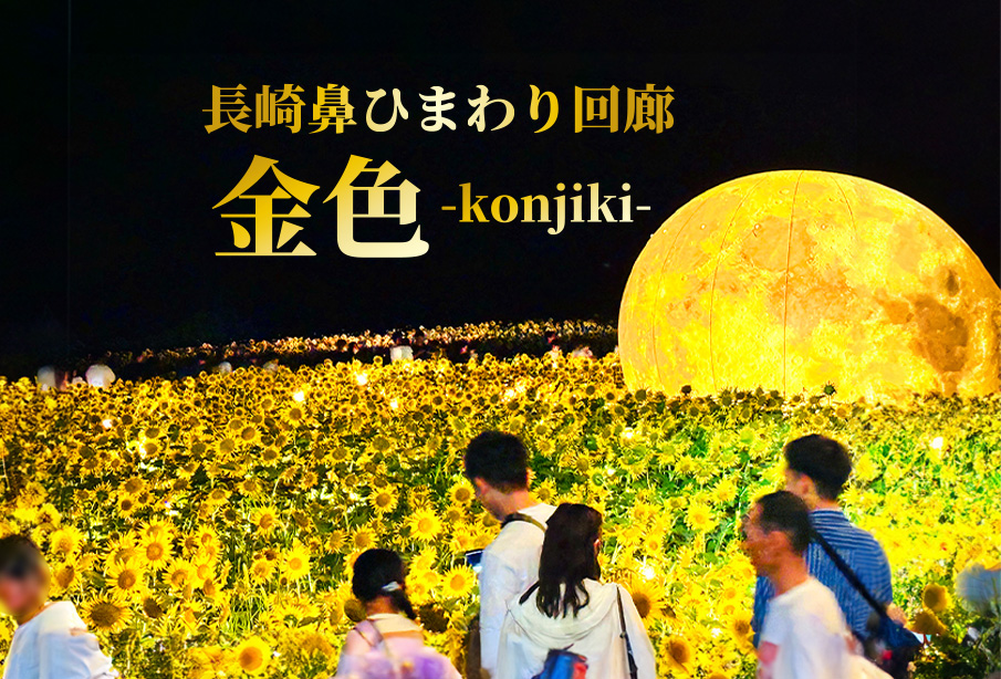 【豊後高田市・長崎鼻】『長崎鼻ひまわり回廊 金色』に行ってきました!幻想的な夜のひまわり畑をご紹介!