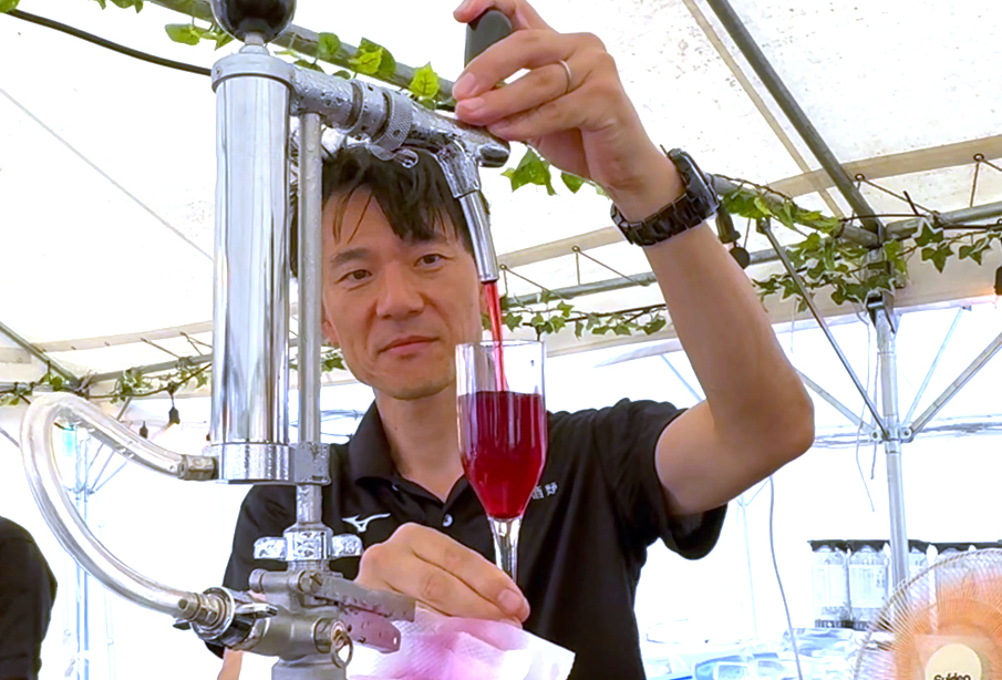 【宇佐市・杵築市】『安心院フェア 葡萄酒まつり2026』ワインとグルメと祭を満喫!